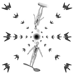 A surreal photo. The image has a solid white background with a swirling black hole at the center. There are peregrine falcons coming from all angles going into the hole. There is both a male and female Luminary also descending into the hole. The Luminaries each have a scorpion on their backs. The female is riding on a ocydone pill and the male is on a heroin spoon.