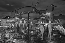 A surreal composite photo. There is a vintage gas station that has a water line across the image showing that the water level is rising. There is a variety of fish, seal, jellyfish and sea plumes in the water. a male and female Luminary are walking toward the gas station with a gas can in their hand. There is a common murre, a tufted puffin, gull, two pelicans and pigeon guillemots around the roof. There is a sign explaining that climate change is a hoax.